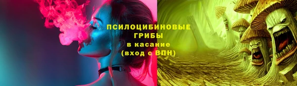 дживик Елизово