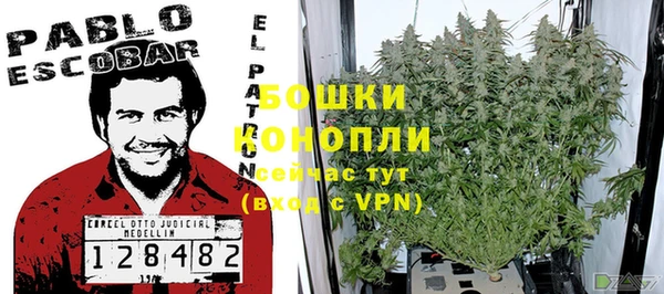 дживик Елизово
