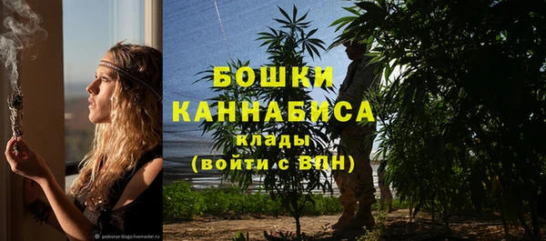 дживик Елизово