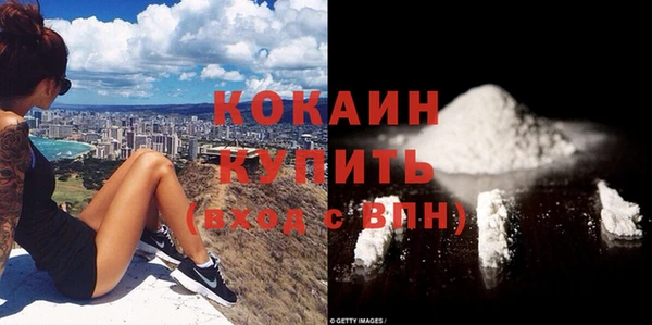 дживик Елизово