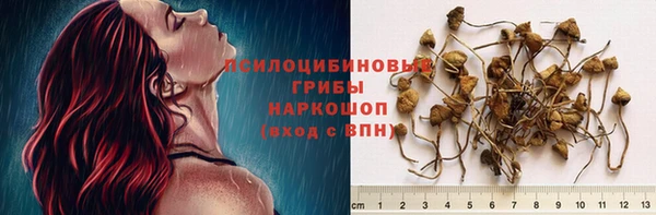 кокаин Ельня